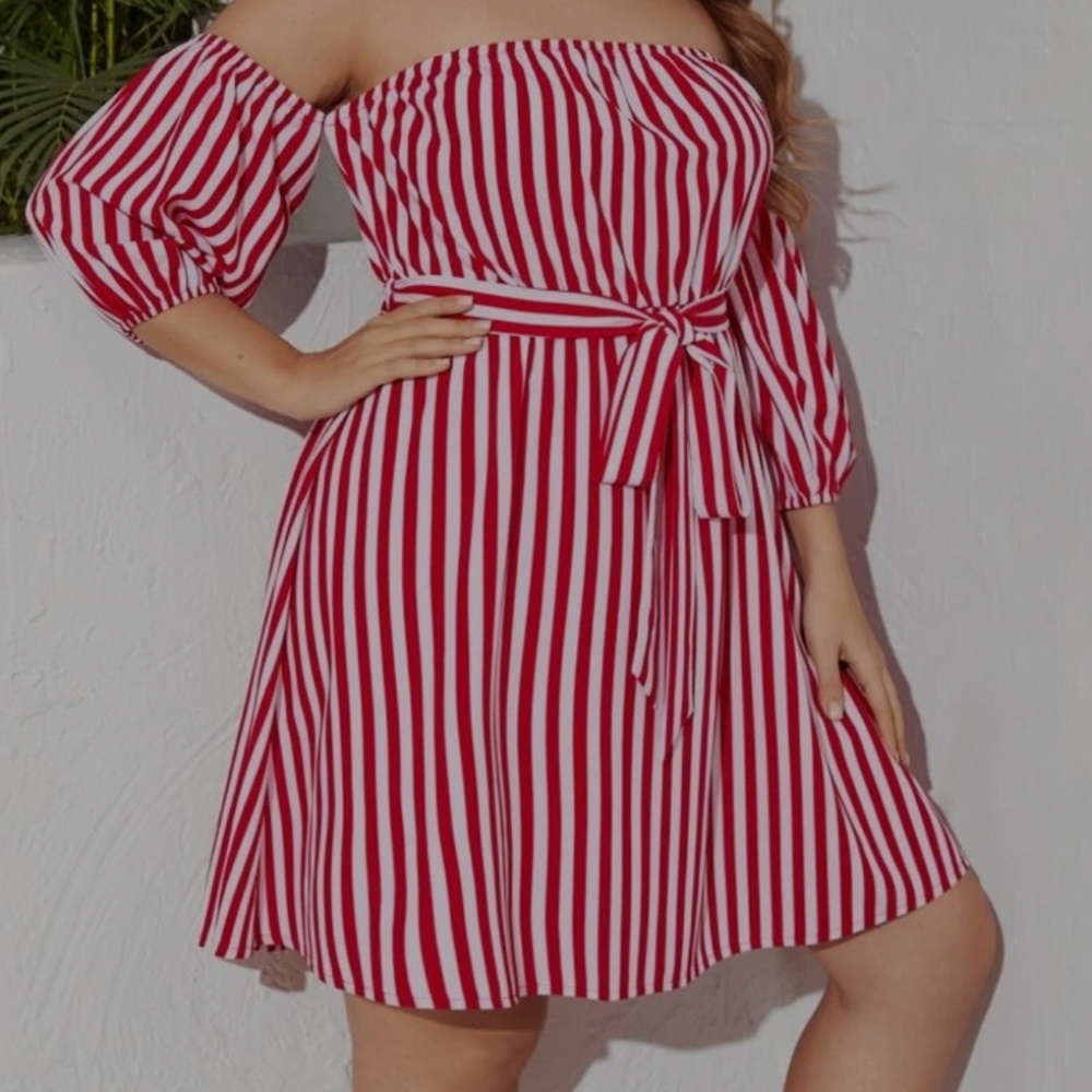 Plus size Stripped Dress